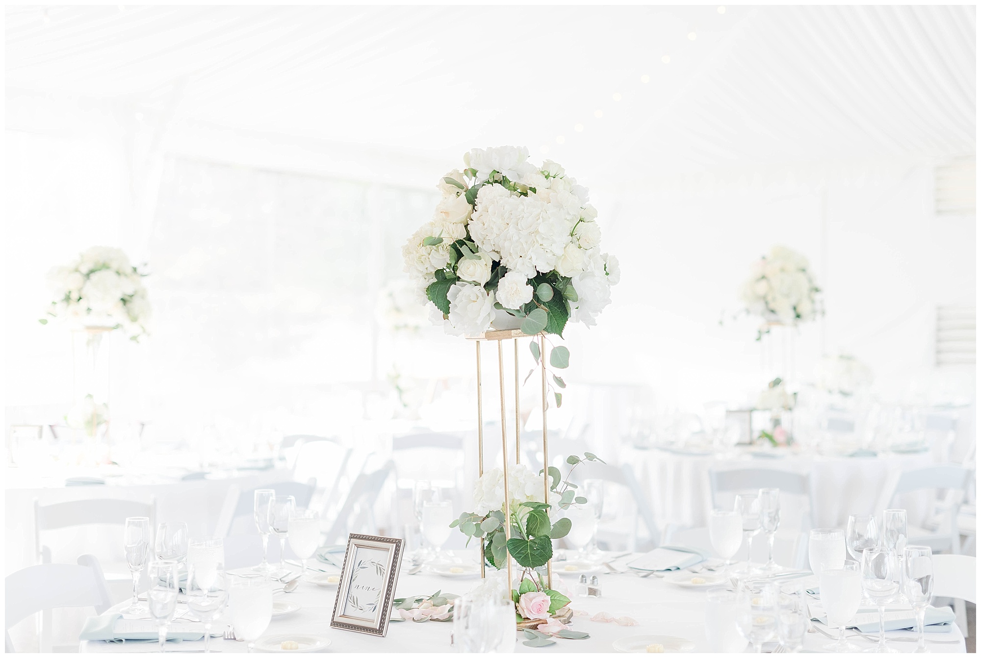 nj tented wedding reception