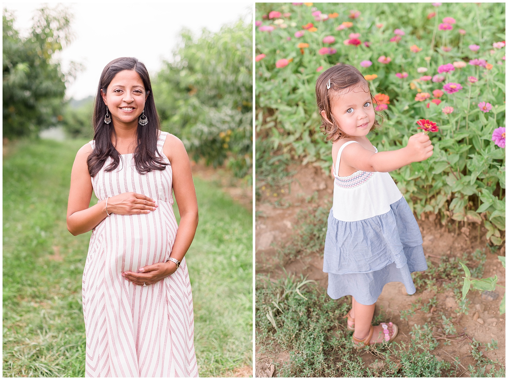 maternity photographer