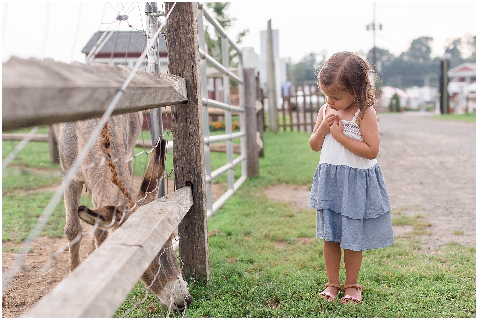 alstede farms