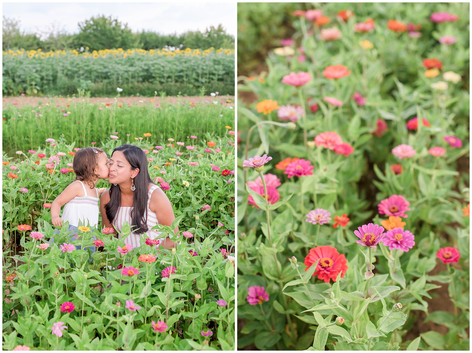 wild flower engagement