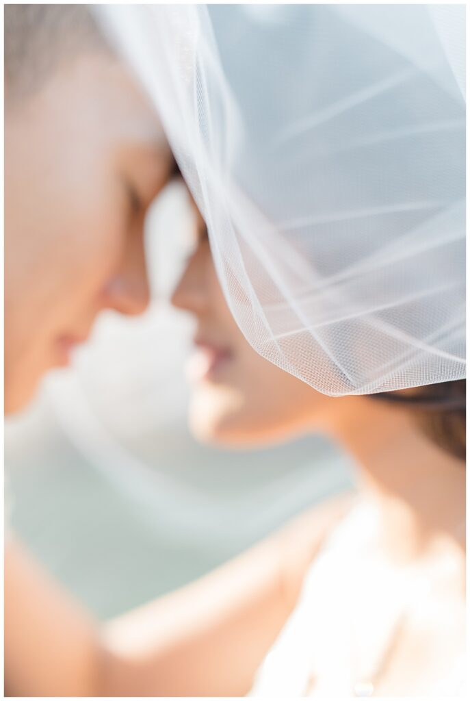 bride and groom veil shot