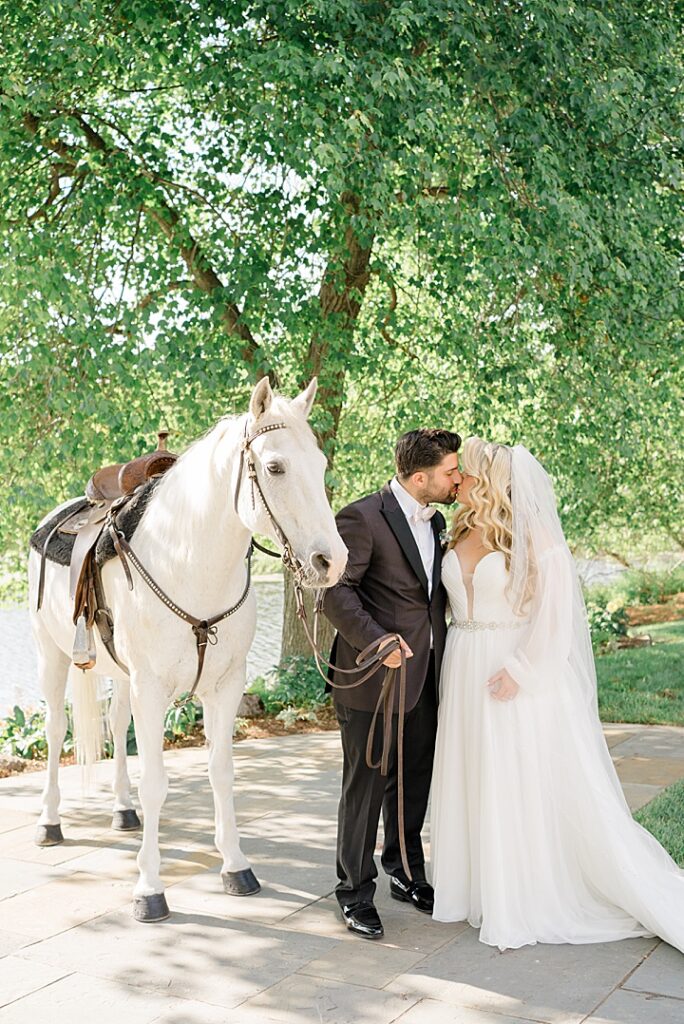 white horse bride and groom