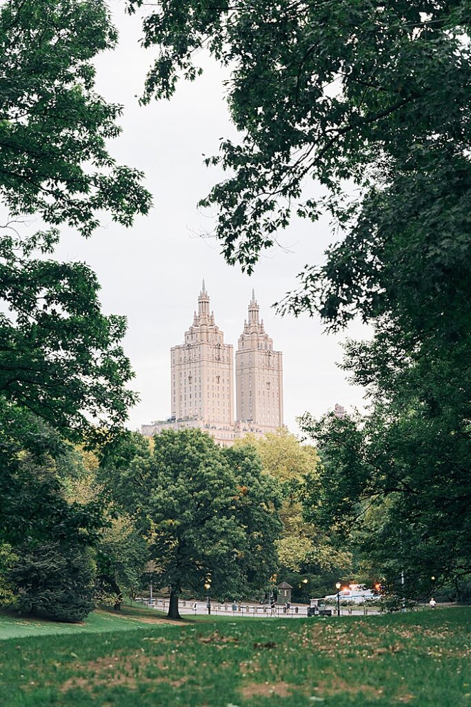 central park engagement photos